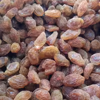 مویز درشت امسالی 