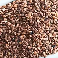 کنجد قهوه ای اعلاء 300 گرمی