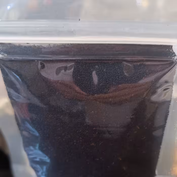 تخم شربتی  تمیز با بسته بندی دلخواه شما از (500 گرم )