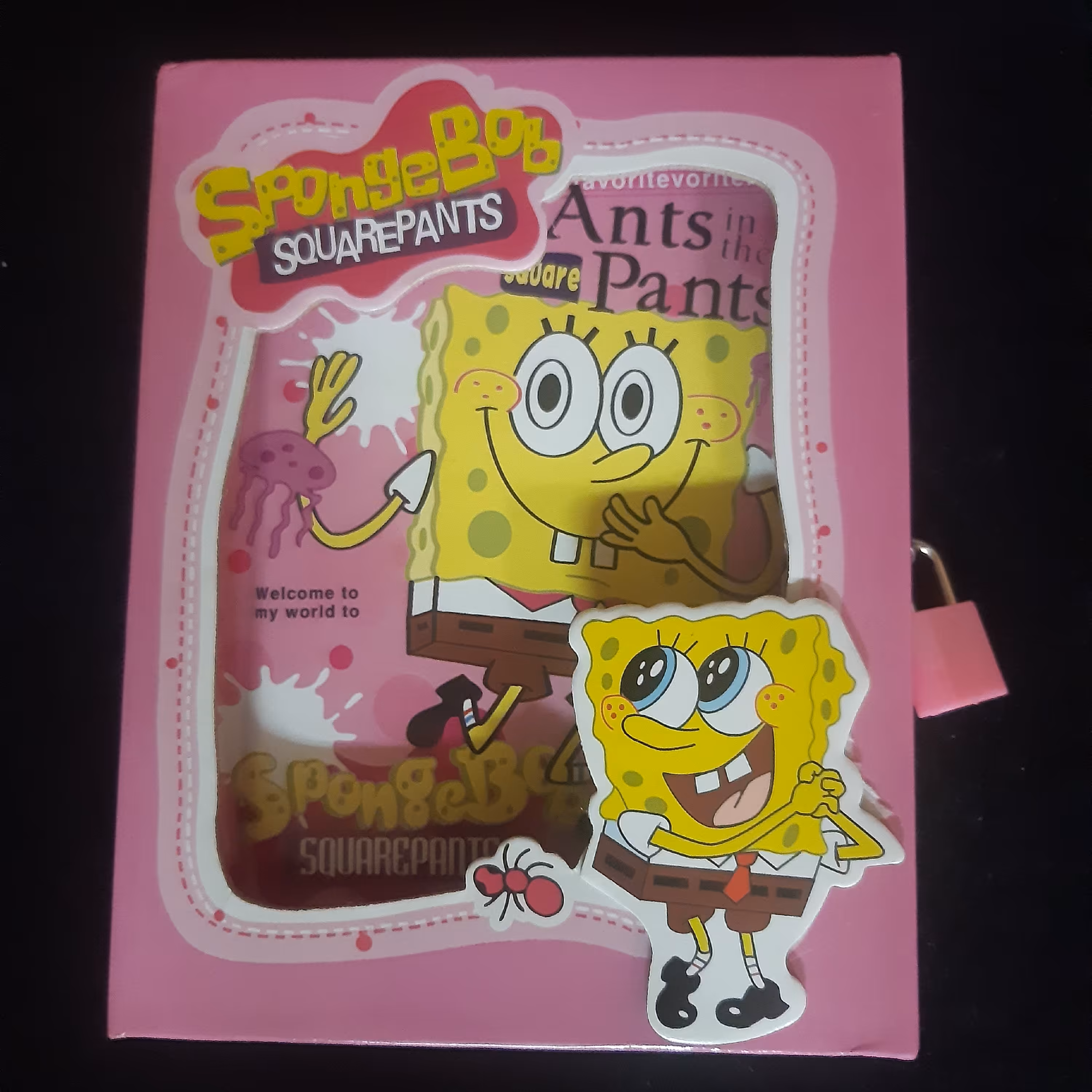 دفتر خاطرات قفل دار