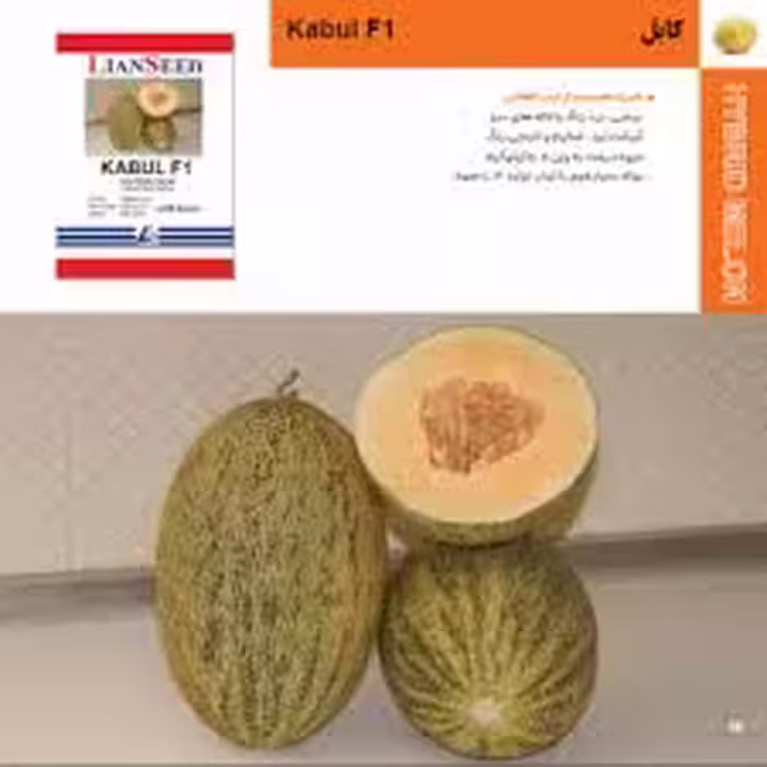 بذر خربزه هیبرید کابل