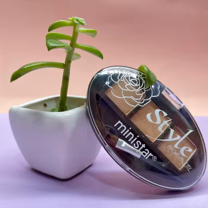 سایه ابرو مینی استار کد 02