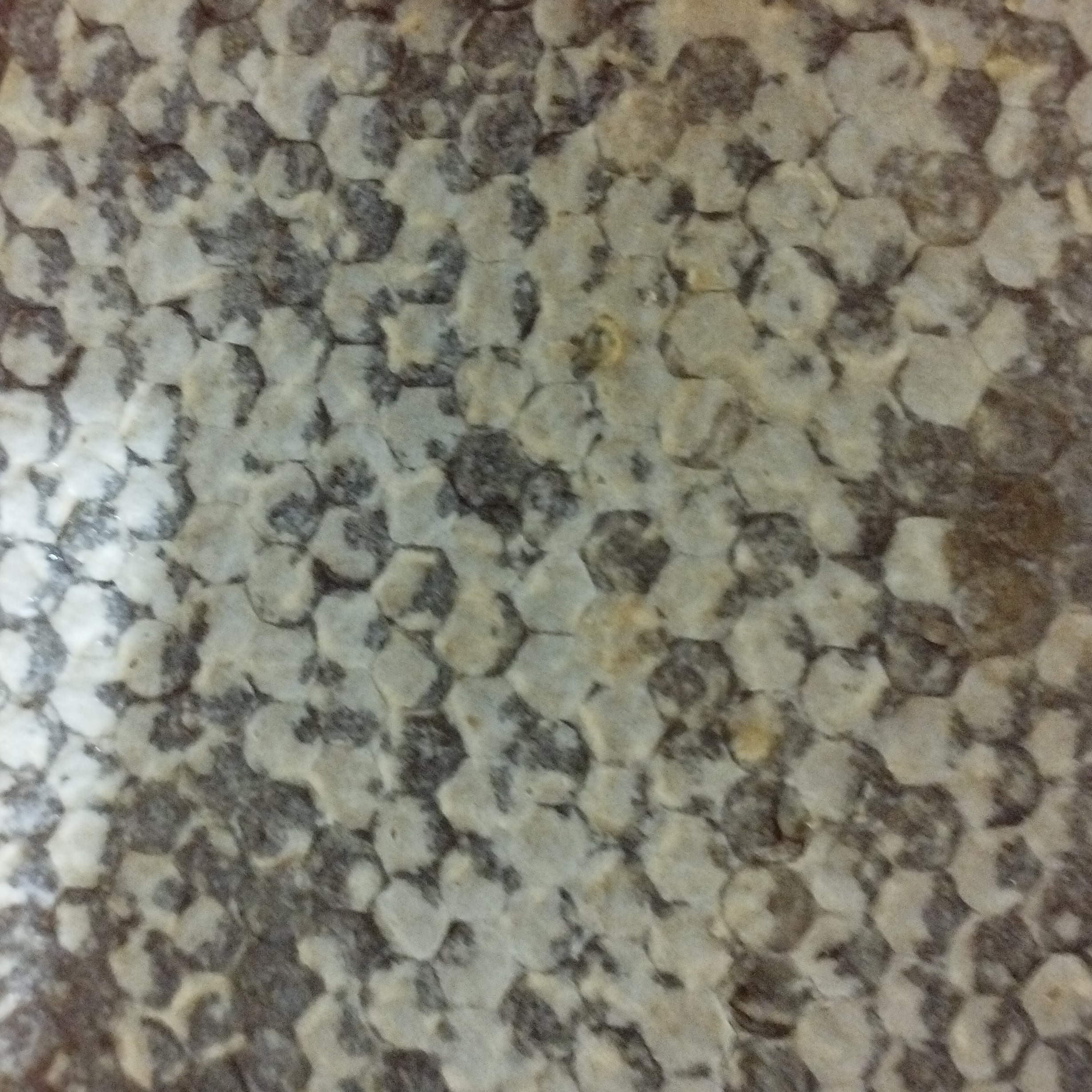 عسل طبیعی خلخال (موم)