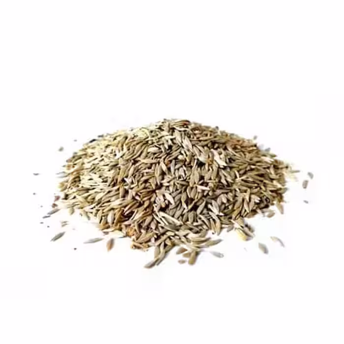 بذر کاهو 50 گرم