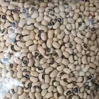 لوبیا چشم بلبلی  ممتاز  و اعلا ( یک کیلویی ، حبوبات پاک شده ،  )