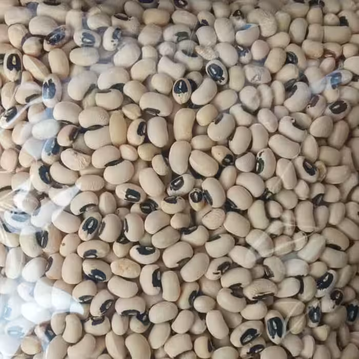 لوبیا چشم بلبلی  ممتاز  و اعلا ( یک کیلویی ، حبوبات پاک شده ،  )