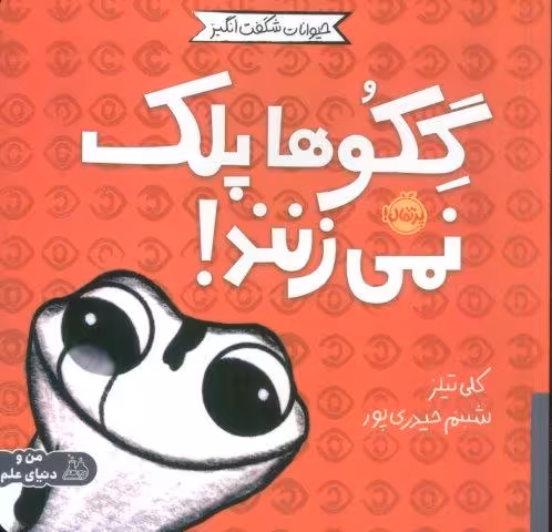 حیوانات شگفت انگیز (گکوها پلک نمی زنند!)،(گلاسه)