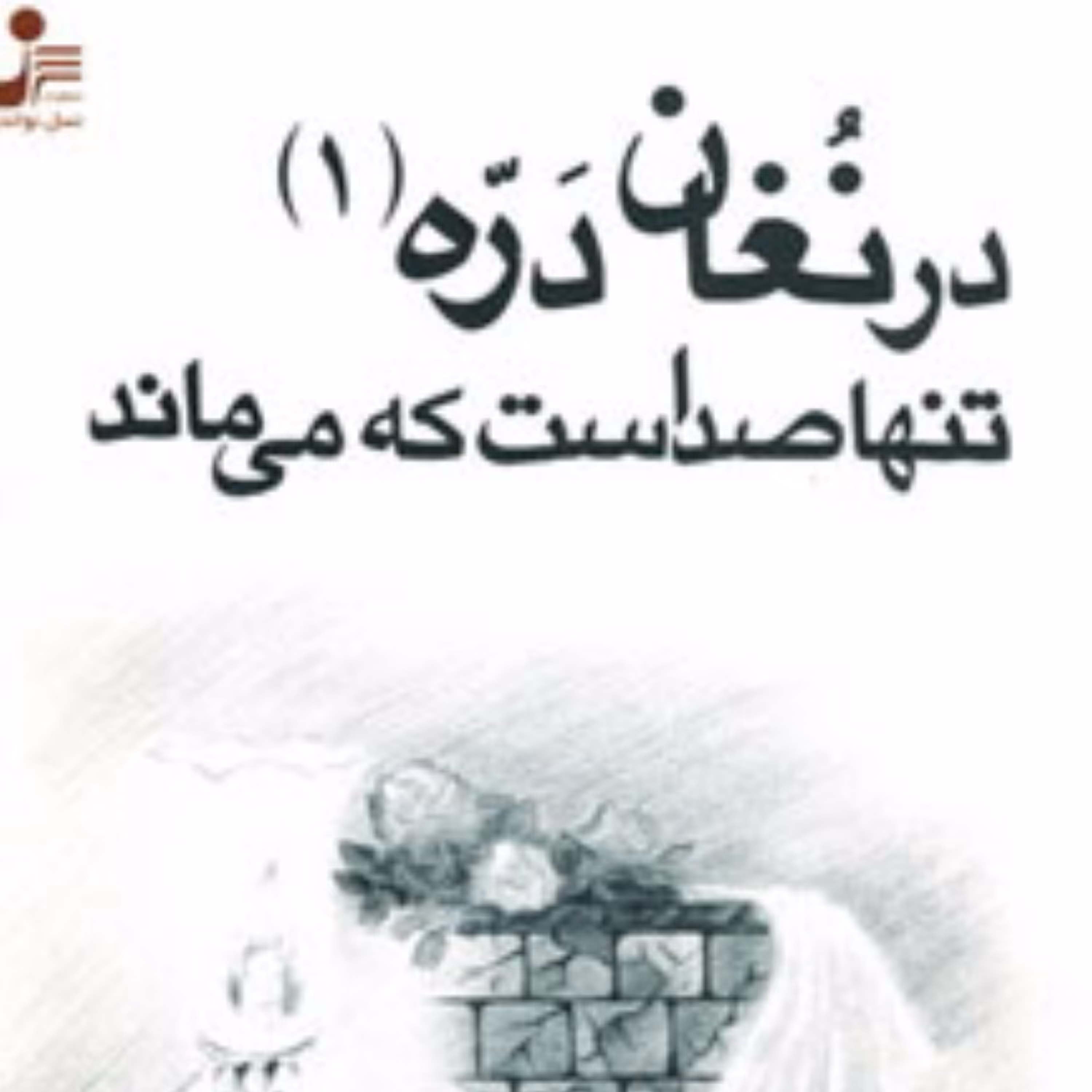 کتاب درنغان دره تنها صداست که میماند