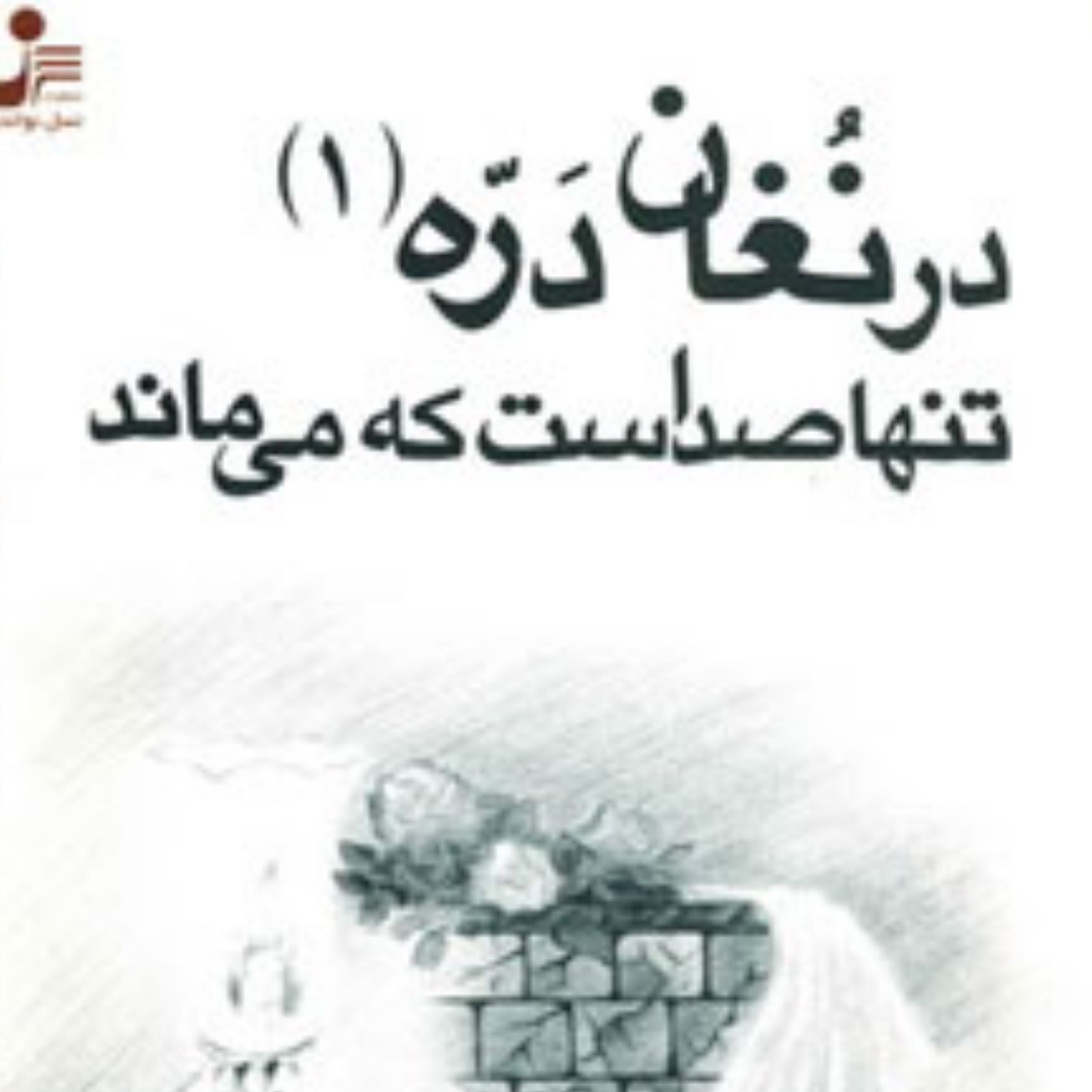 کتاب درنغان دره تنها صداست که میماند