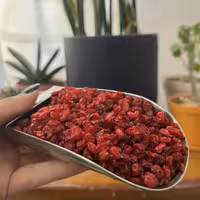 زرشک پفکی  اعلا  لوکس فروش عمده 10 کیلویی 