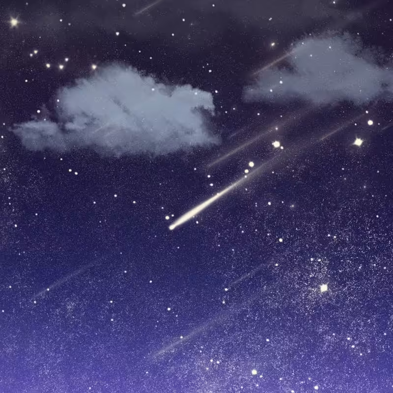 نقاشی دیواری و اجرا هر گونه نقاشی روی دیوار. با توجه به طرح و اندازه مورد علاقه شما. خدمات در محل شما