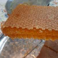 عسل موم دار  بسته بندی سبلان 1کیلویی