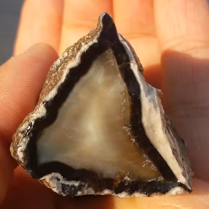 سنگ راف عقیق سلیمانی رنگی به همراه عقیق مشکی خارق العاده شاهکار خلقت 100 در 100 طبیعی
با قابلیت ساخت چند نگین قیمتی