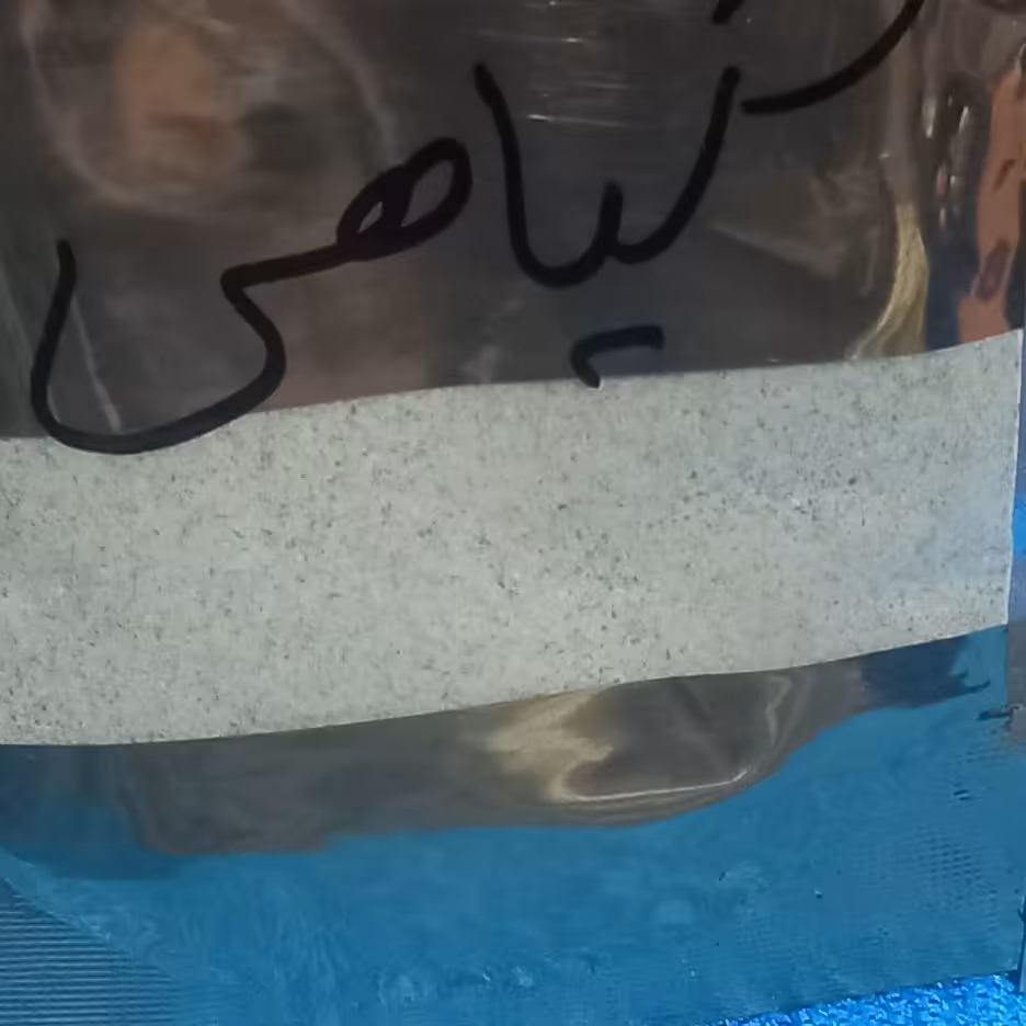  گیاهی  جلوگیری از بیمارهای  ام اس وجلوگیری  اری ام اس اماد سازی به صورت سنتی 