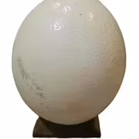 تخم شترمرغ پوکه خالی به همراه پایه