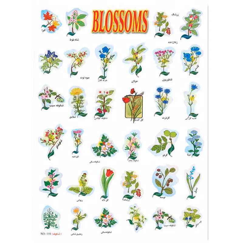 خرید برچسب آموزشی شکوفه ها