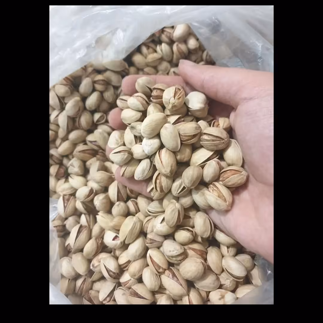 پسته امسالی تازه و خوش طعم خندان پسته مقوی خونساز  200 گرم