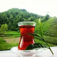 چای زرین اعلا ده کیلویی 1404 فروش ویژه محدود