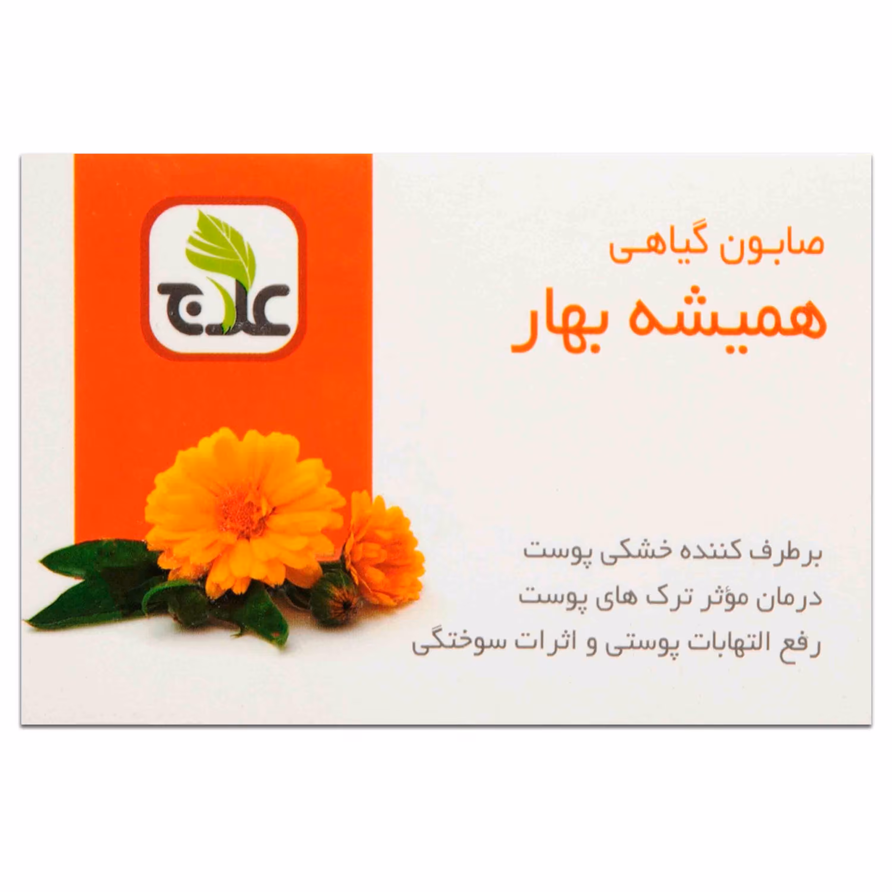 صابون نرم کننده گل همیشه بهار علاج