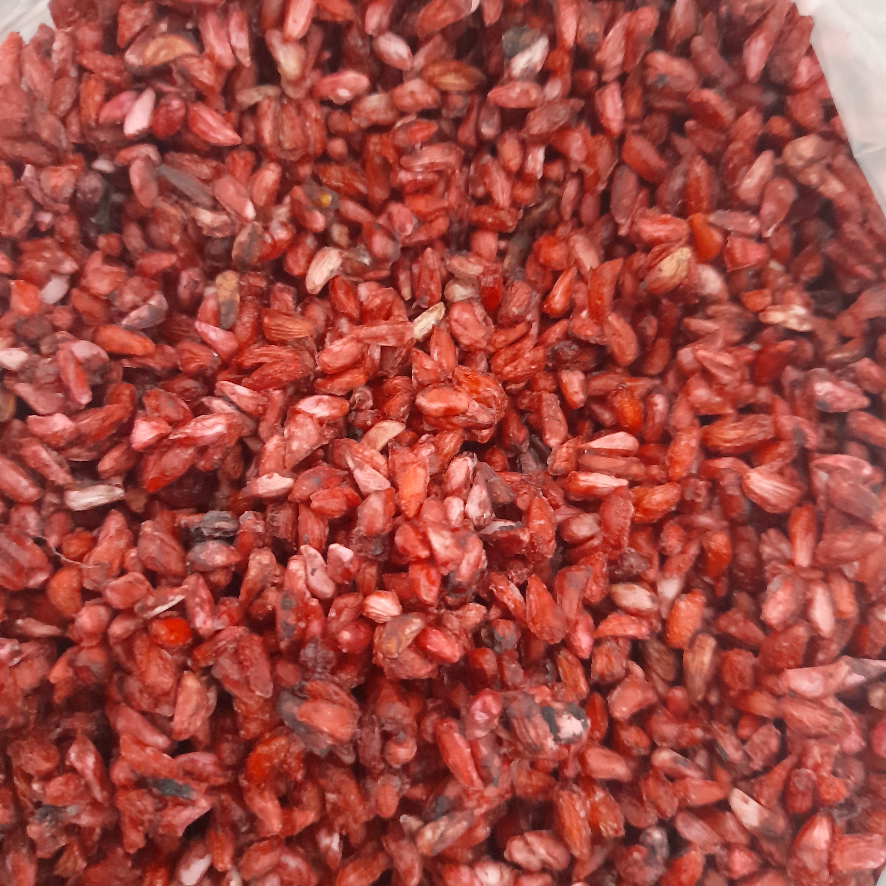 اناردون جنگلی (200 گرمی)