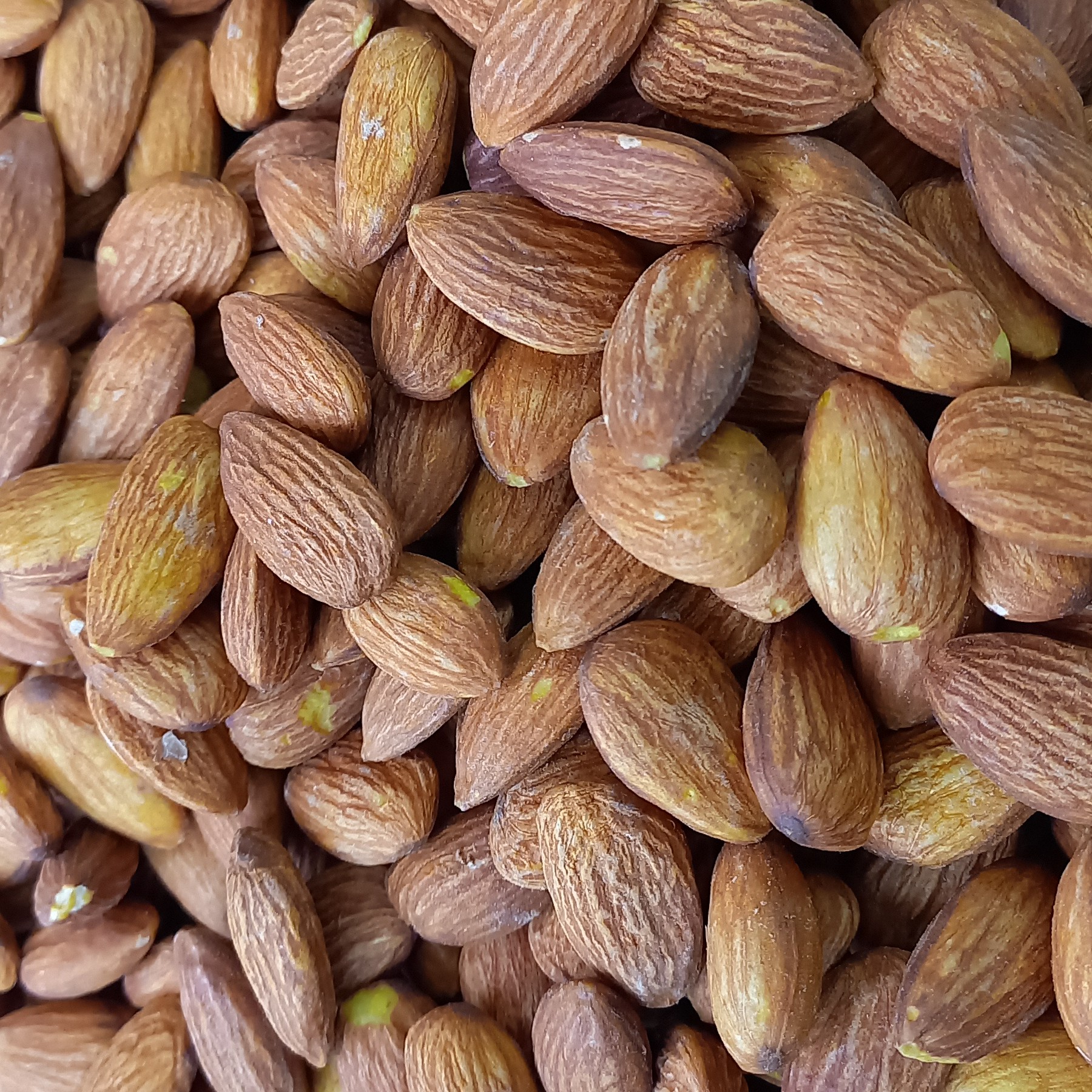 بادام درختی