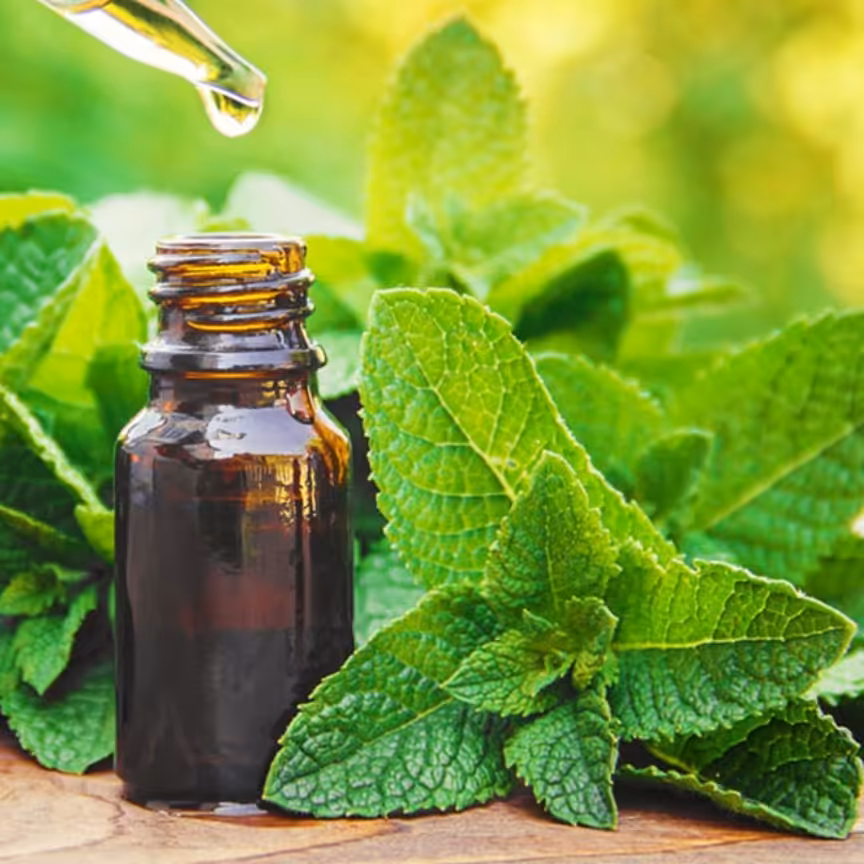 روغن پونه - 20 میلی لیتر