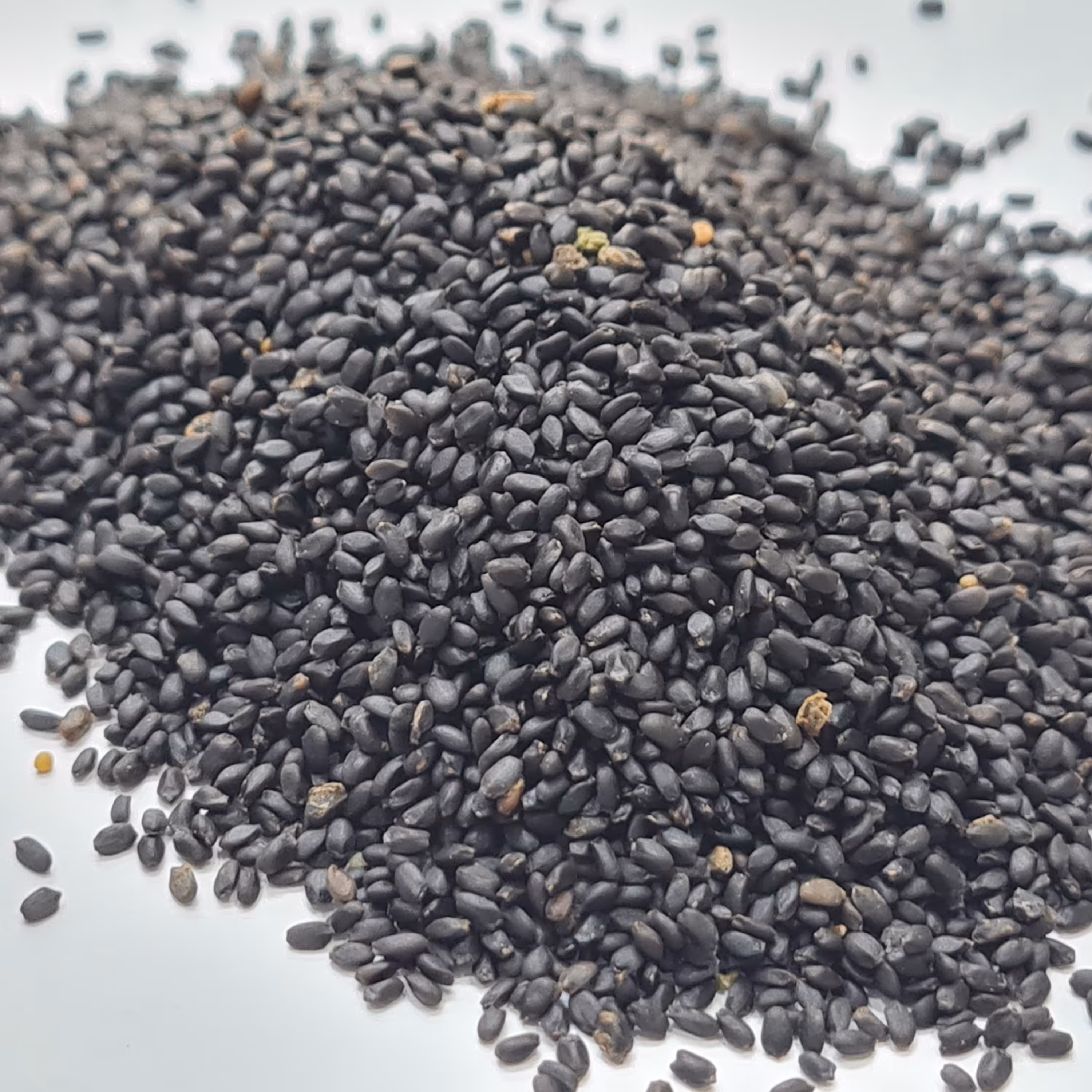 تخم شربتی درشت اعلا 500 گرمی
پاک کرده و بدون هرنوع آلودگی