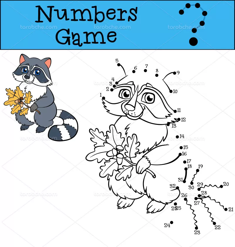 وکتور نقاشی نقطه ای راکون | گرافیک با طعم تربچه