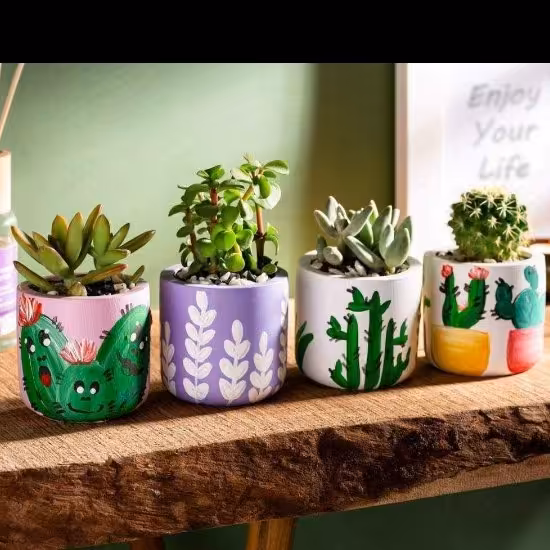 گلدان کاکتوس