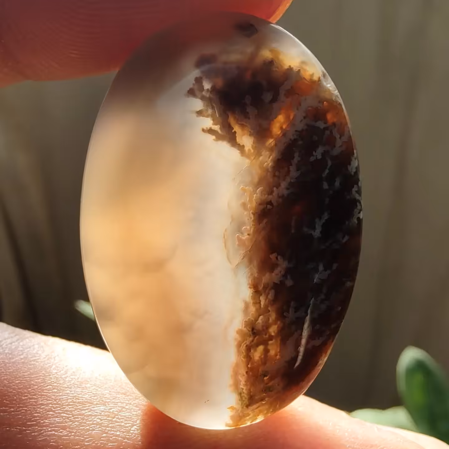 عقیق شجر خرمایی