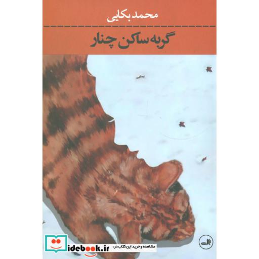 کتاب گربه ساکن چنار
