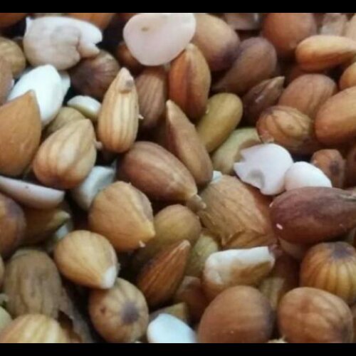 بادام شورکوهی بدون پوست 1000 گرمی