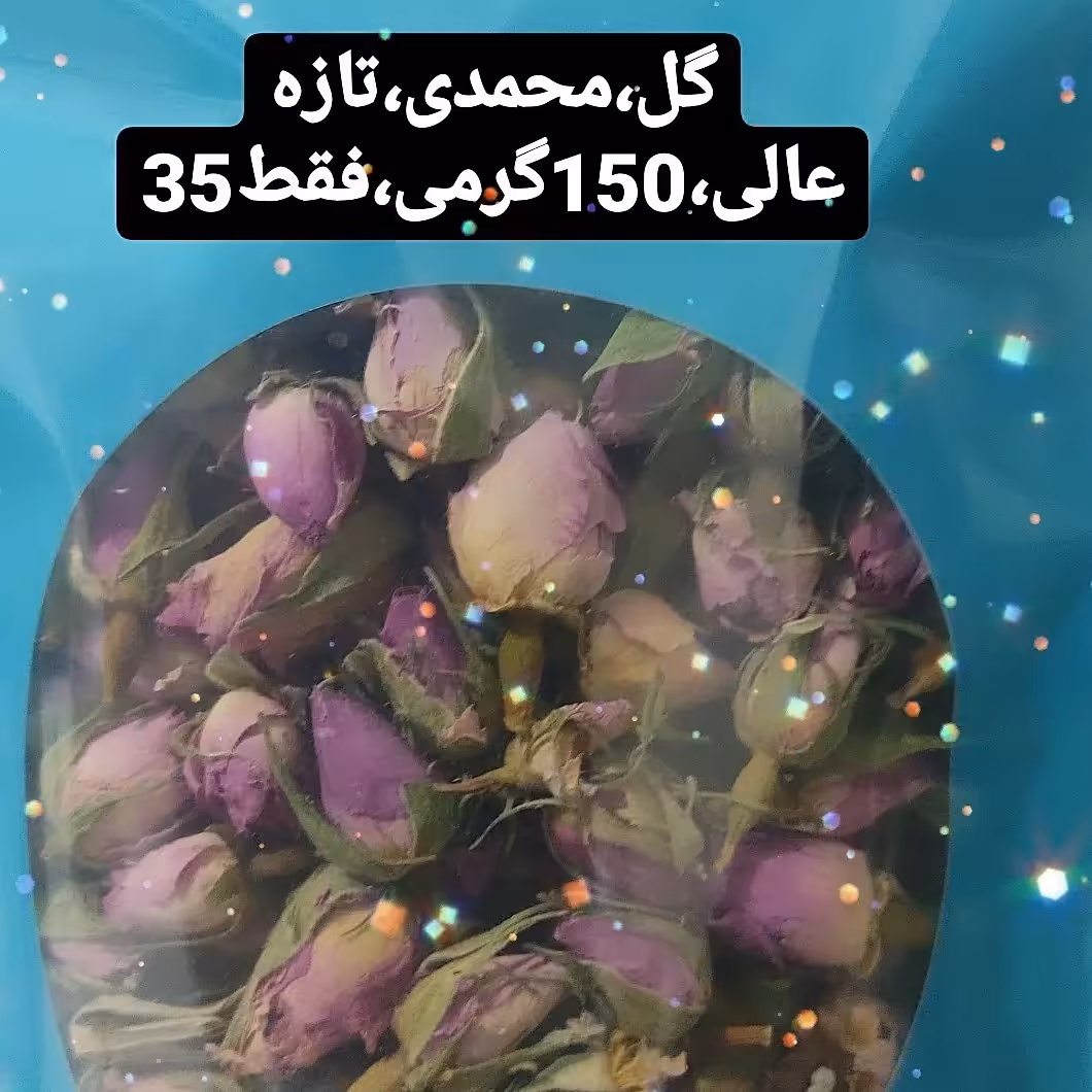 غنچه گل محمدی با عطر بوی عالی با بسته بندی تمیز
