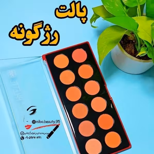 پالت رژ گونه آرت اسکین ، خرید بالای 100 تومن از غرفه من اشانتیون داره😊