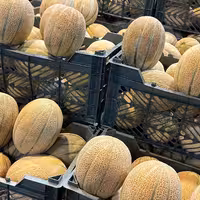 جانا فوق شیرین 