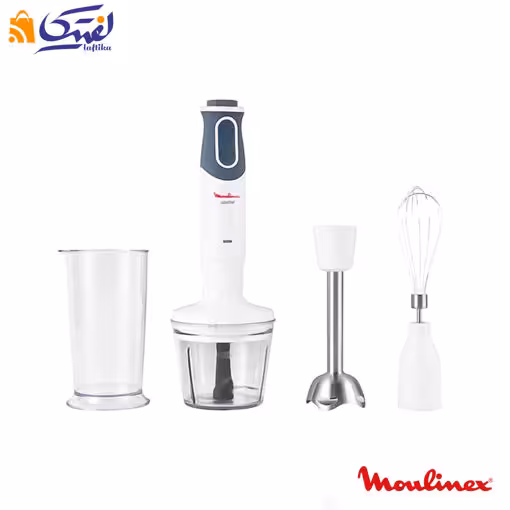 گوشت کوب برقی  DD642 مولینکس 800 وات