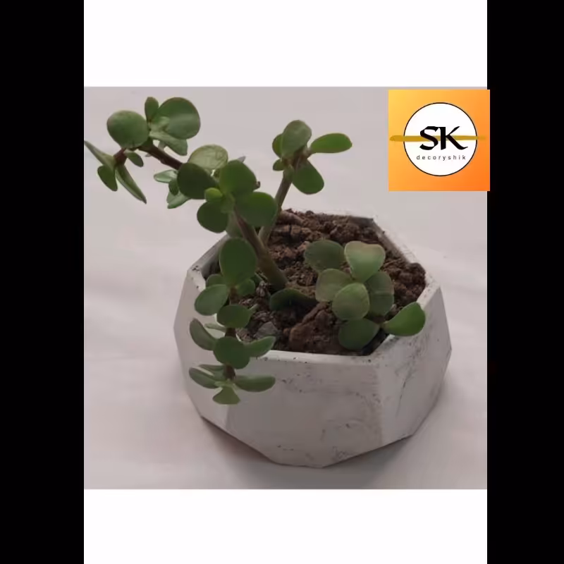 گلدان مینیاتوری بدون گل