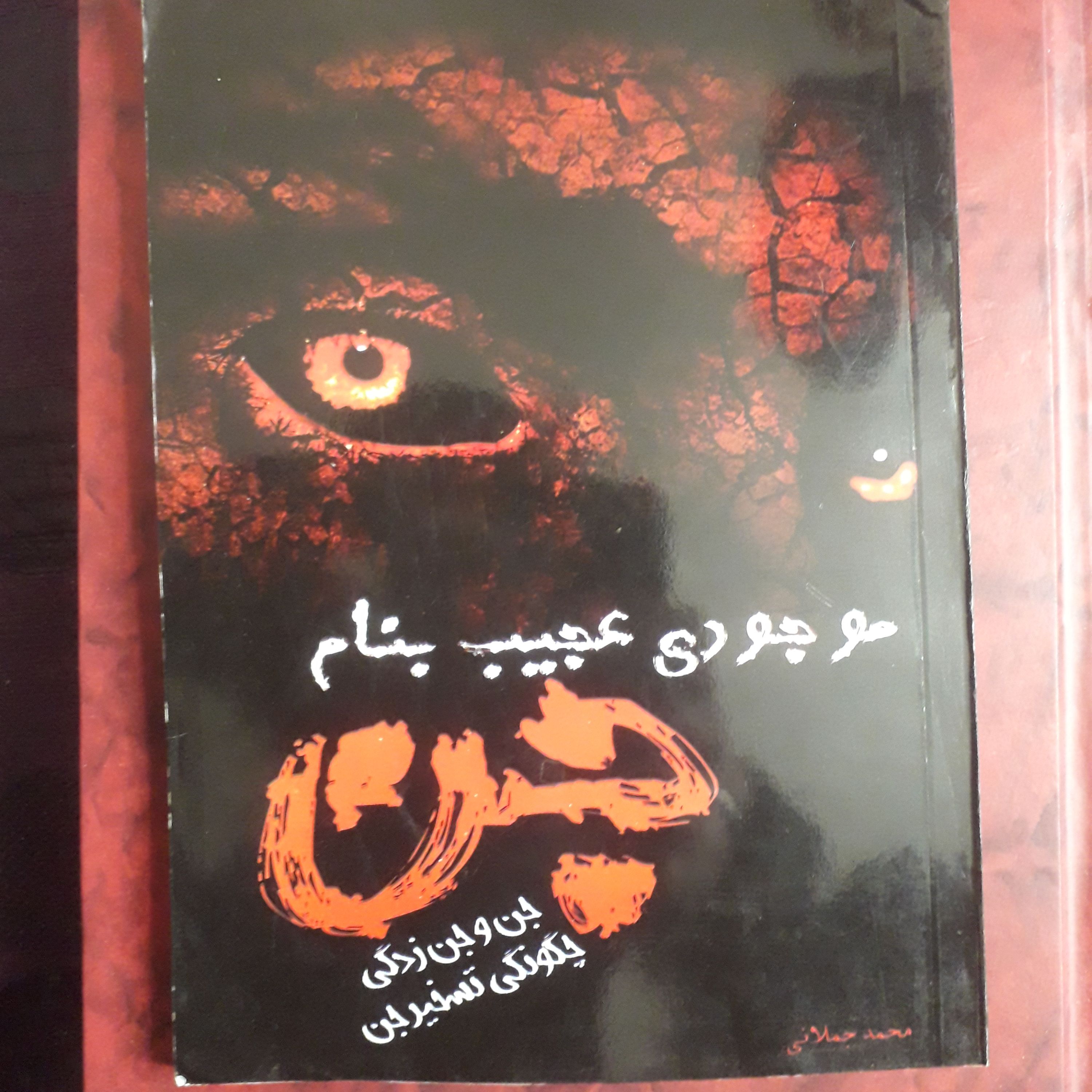 کتاب موجودی عجیب به نام جن