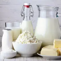 شیر تازه گاو 