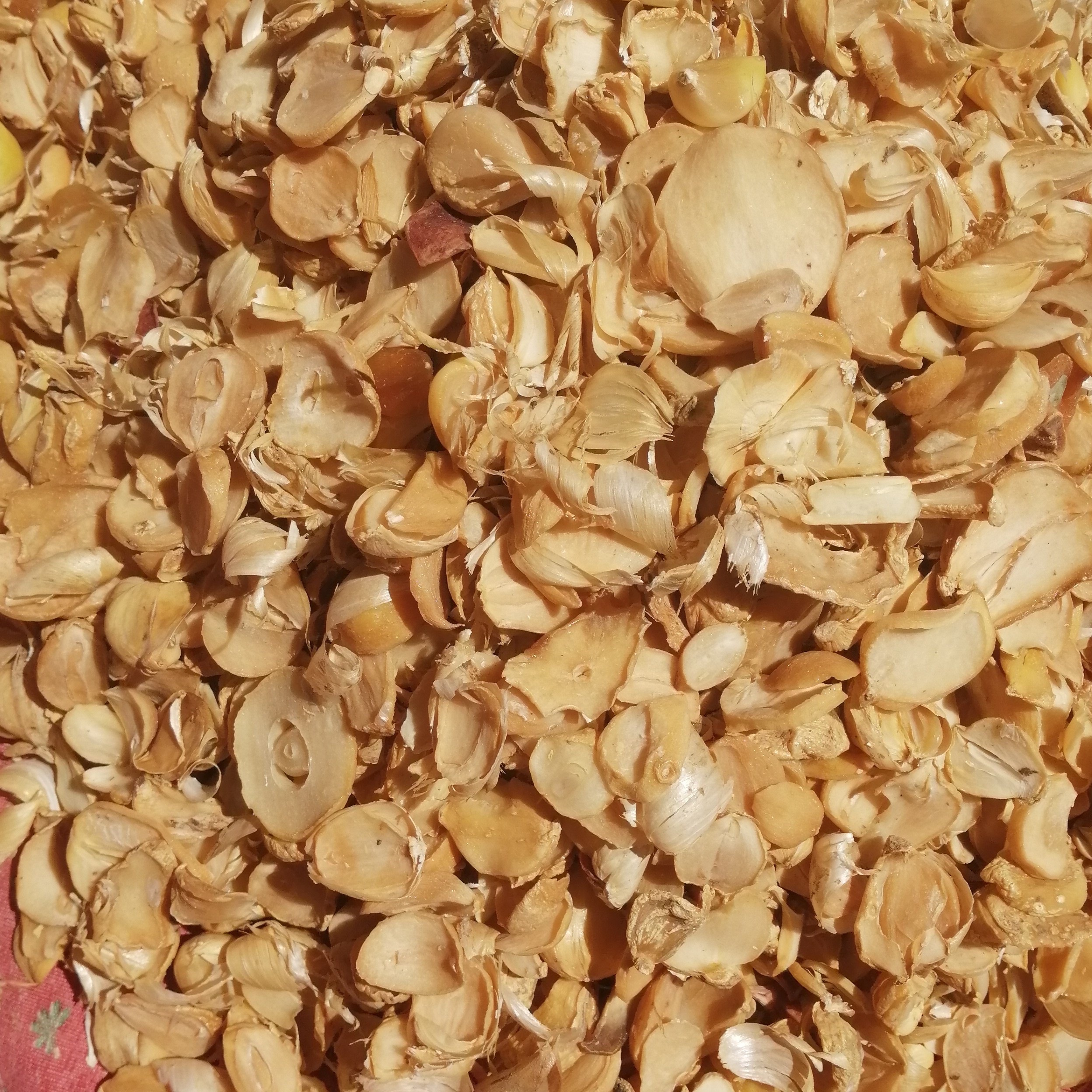 موسیر کوهی