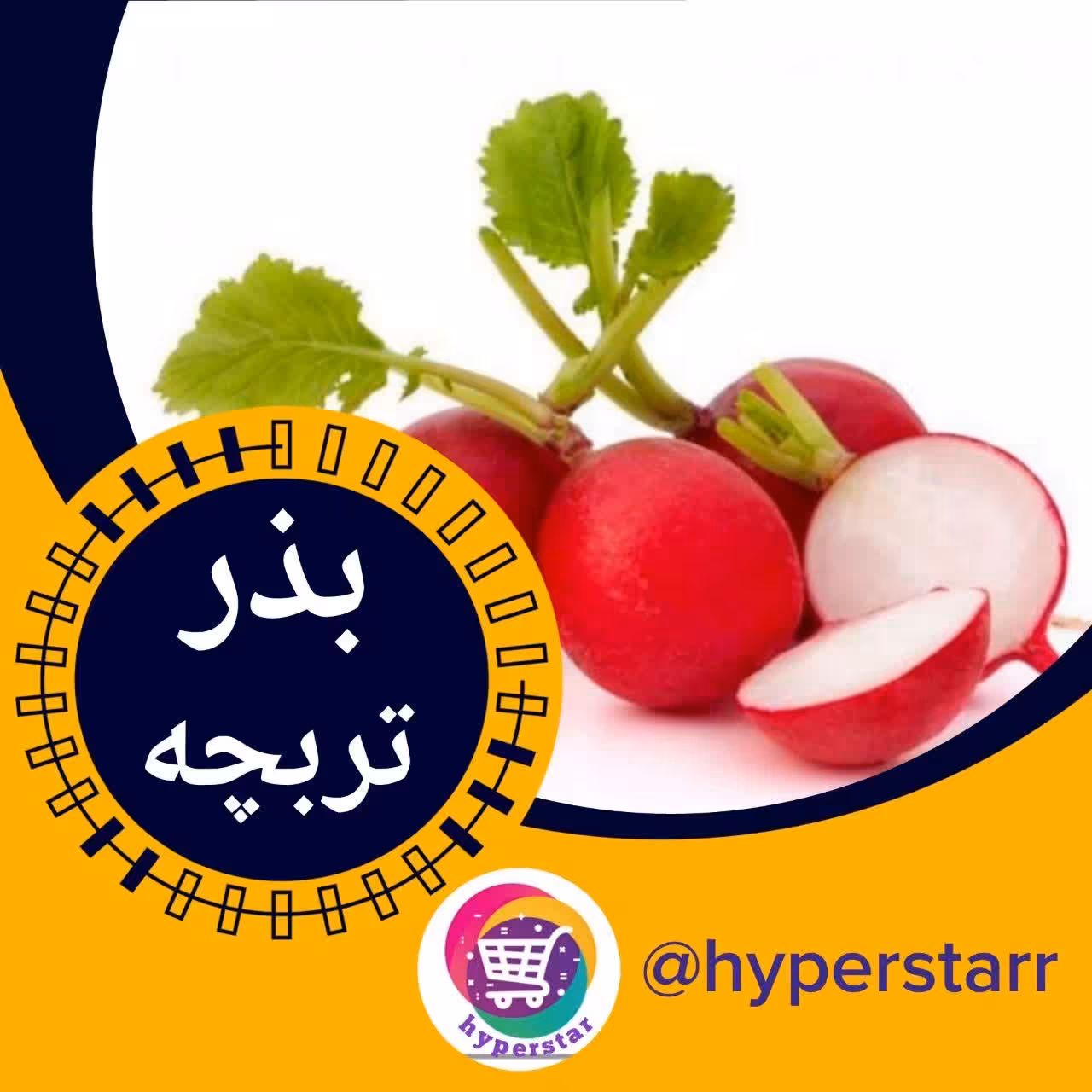 بذر تربچه 