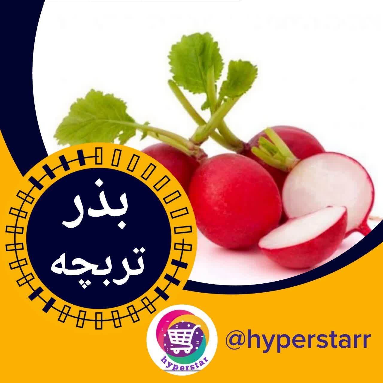 بذر تربچه
