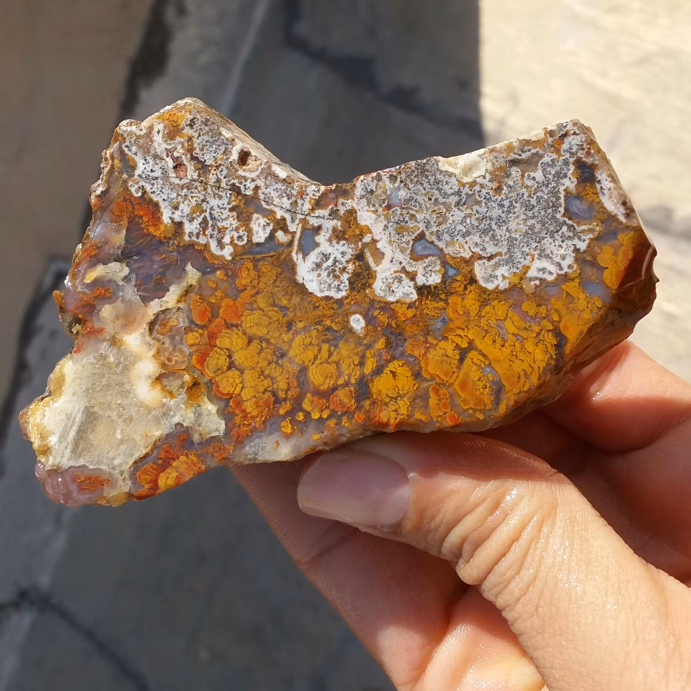 اسلایس سنگ راف عقیق شجرمنظره پاییزی با قابلیت ساخت چند نگین 
 100 در 100 طبیعی  
کد 11651