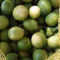 آبلیمو تازه وطبیعی1 لیتری