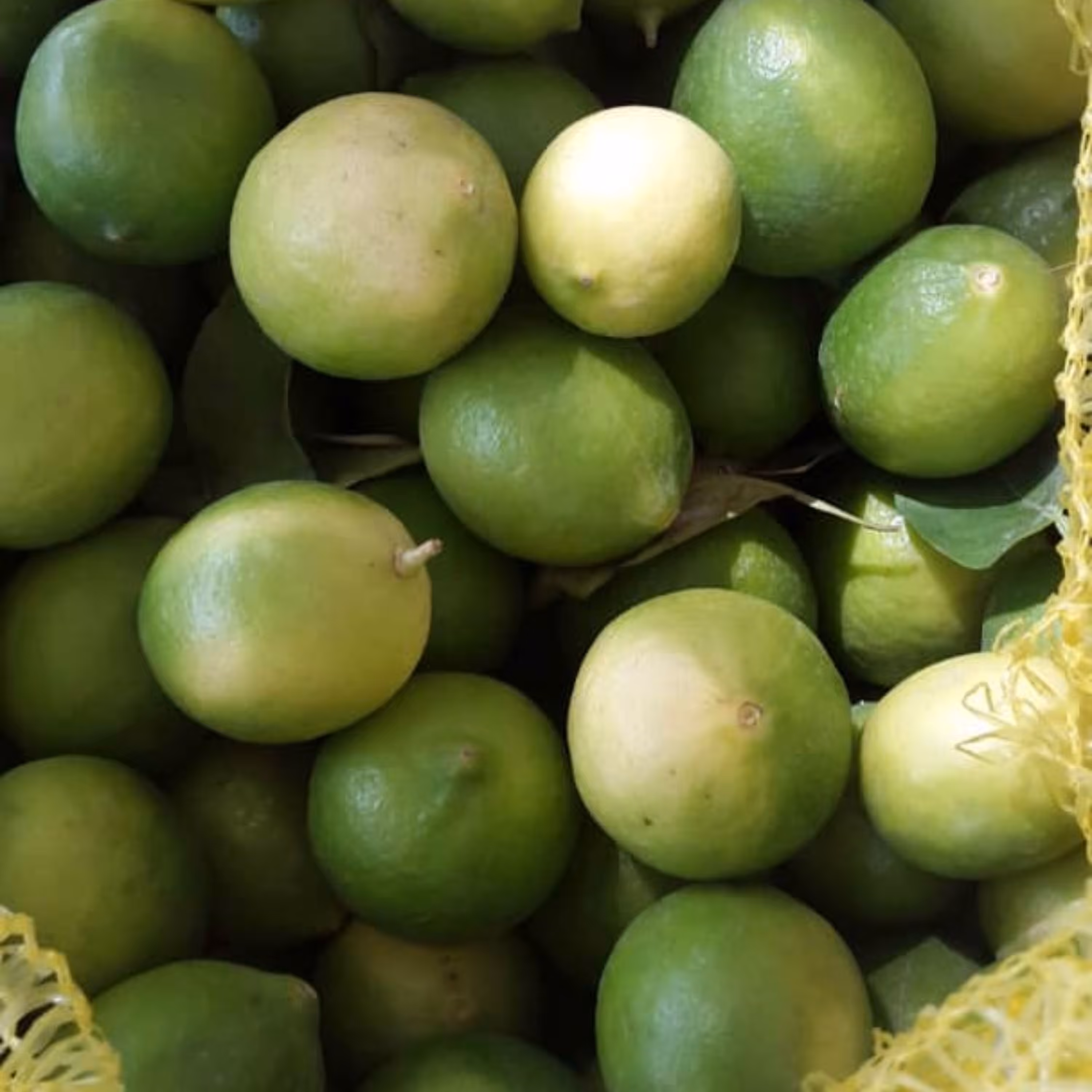 آبلیمو تازه وطبیعی1 لیتری