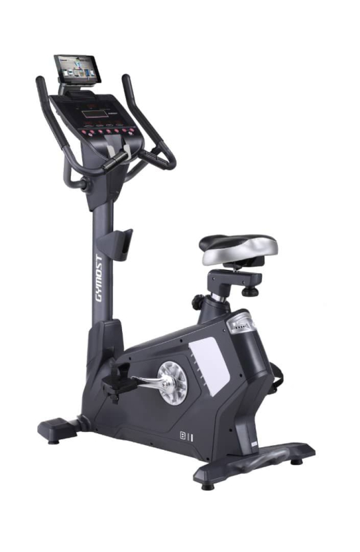 دوچرخه ثابت GYMOST B11-V3