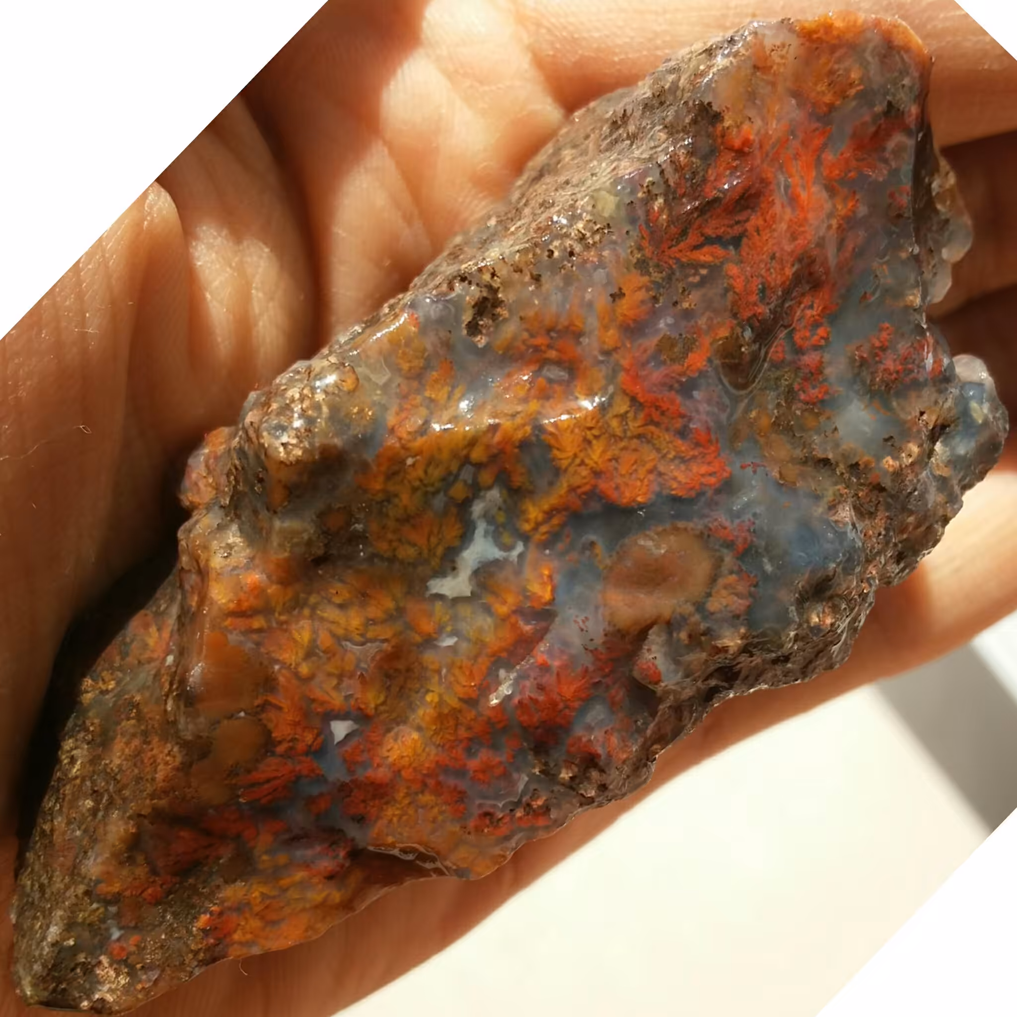 سنگ راف شجر شکوفه 7رنگ محشر شاهکار خلقت کاملا طبیعی فوق العاده خاص و تک