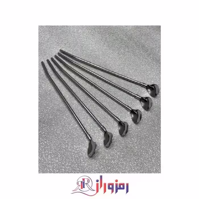 قاشق شربت 12 نفره نی دار