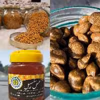 پک سلامت سلسبیل (شامل مخلوط عسل و  ژل رویال500 گرمی،گرده گل200گرمی،قرص بره موم 100 گرمی)