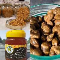 پک سلامت سلسبیل (شامل مخلوط عسل و  ژل رویال500 گرمی،گرده گل200گرمی،قرص بره موم 100 گرمی)
